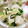 クック76B069☆'s cooksnap of when they made ☆簡単☆白菜と塩こんぶのサラダ.