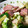 なかはまゆ's cooksnap of when they made 簡単☆10分でブロッコリーのオイマヨ炒め.