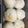 kanaryan☆'s cooksnap of when they made HBでココナッツミルクパン.