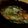 クックNCWN2O☆'s cooksnap of when they made たっぷり野菜のポトフ.