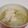 めぽろけ's cooksnap of when they made 【簡単】おいしい鶏の手羽元スープ♪♪.