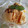 まねきねこにゃん's cooksnap of when they made 簡単デザート☆きなこ黒みつアイス.
