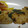 タマトロ's cooksnap of when they made 白身魚の和風ムニエル.