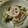 クックX2H0VU☆'s cooksnap of when they made ＊れんこんときゅうりのごまマヨサラダ＊.