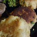 marikolo's cooksnap of when they made 簡単！おから100%のヘルシーハンバーグ.