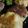 marikolo's cooksnap of when they made 簡単！おから100%のヘルシーハンバーグ.
