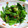 myukitty's cooksnap of when they made つるむらさきとオクラの梅和え.