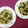 UMAe's cooksnap of when they made ほうれん草とハムの和風パスタ.