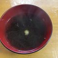 おまぬけりとる's cooksnap of when they made 材料２つで、もずくスープ.