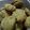 クックMMPJ5U☆'s cooksnap of when they made ★米粉グラノーラクッキー★.