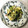 RoomA's cooksnap of when they made 青梗菜、豚肉、油揚げ、オイスターソース.