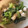 はっぴぃハムハム's cooksnap of when they made クリームチーズとほうれん草☆洋風おひたし.