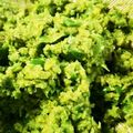 みゅうひゅう's cooksnap of when they made 柚子胡椒レシピ.