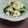 ハヤぱんだ's cooksnap of when they made 簡単に♪小松菜と豆腐のごまあえ♪.
