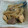 ハヤぱんだ's cooksnap of when they made おばあちゃんの味　牛蒡とコンニャクの煮物.