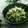Dellaたん's cooksnap of when they made 簡単！水菜とツナの柚子胡椒炒め♬.
