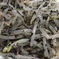 しーさつまま's cooksnap of when they made もやしのゆかり和え.
