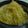 ＭＯＭＯパンダ's cooksnap of when they made 金糸瓜の三杯酢あえ.