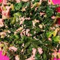 ちなｯﾃｨｰ's cooksnap of when they made セロリの葉とツナの和え物.