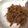 クックSXM10J☆'s cooksnap of when they made ごはんがススム！！新生姜の佃煮.