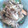ちっぷちっぷちっぷ's cooksnap of when they made 豚肉のしょうが焼き丼.