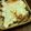 こてかる's cooksnap of when they made イタリア人が作るリアルなラザニア.