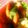 にゃぁくん's cooksnap of when they made ピーマンとウインナーの中華炒め.