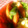 にゃぁくん's cooksnap of when they made ピーマンとウインナーの中華炒め.