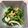 まぷまぷママ's cooksnap of when they made 簡単！からし菜とちくわの甘辛炒め.