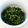 taako1552's cooksnap of when they made 大根菜とじゃこの佃煮.