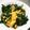 xxyyzz∞'s cooksnap of when they made ちゃちゃっと、ニラ玉。オイスターソースで.