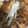 xoxo_michi's cooksnap of when they made 男のロマンだ！これがほんとの肉豆腐だ！.
