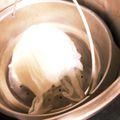 ノビル's cooksnap of when they made 肉マンをフカフカ★お店みたいにする蒸し方.