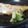 ダイナマイト漆黒's cooksnap of when they made 超簡単！胡瓜とガリで酢の物.