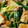 クック64OY6U☆'s cooksnap of when they made 厚揚げとねぎの炒め煮♡.