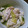 伶夜11's cooksnap of when they made 簡単ヘルシー★鶏肉とレタスの蒸し煮.