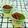 3yentown's cooksnap of when they made 至福の豆乳プリン～抹茶小豆ソースかけ～.
