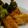 クックVNZV99☆'s cooksnap of when they made ＊豚肉と高野豆腐のピカタ＊.