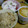 こげお's cooksnap of when they made 長イモの茶碗蒸し.