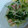 あっきー１９７２'s cooksnap of when they made 材料4つ☆簡単☆水菜とツナの和え物.