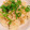 barachoco's cooksnap of when they made ツナとしめじの生姜たっぷり炊き込み御飯♪.