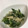 santomo☆'s cooksnap of when they made ネギとえのきの簡単炒め.