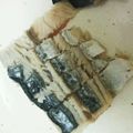 クックYOIE9L☆'s cooksnap of when they made サワラの塩たたき.
