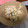 くぅ＊＊'s cooksnap of when they made きゅうりと鶏ササミの胡麻マヨサラダ.