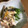 huto☆'s cooksnap of when they made サバときゅうりと大根のサッパリ和え.