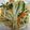 eru2008's cooksnap of when they made もやしシャキシャキ！野菜炒め♪.