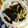 クックBNQ5PD☆'s cooksnap of when they made 大根とワカメのサラダ.