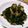 ふか谷's cooksnap of when they made (ワカメとニラで)鶏肉の緑まみれ.