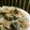 りんご華☆1219's cooksnap of when they made ニラもやし塩焼きそば.