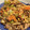 こみーな's cooksnap of when they made 簡単！やさしい味の豚とキャベツの卵炒め.